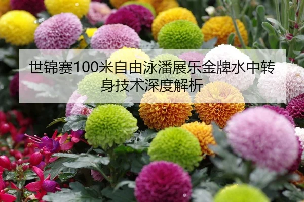 世锦赛100米自由泳潘展乐金牌水中转身技术深度解析