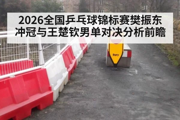 2026全国乒乓球锦标赛樊振东冲冠与王楚钦男单对决分析前瞻